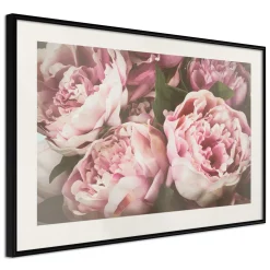 Poster 'Pink Peonies'