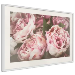 Poster 'Pink Peonies'