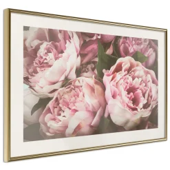 Poster 'Pink Peonies'