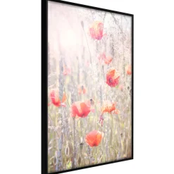 Poster 'Poppies'