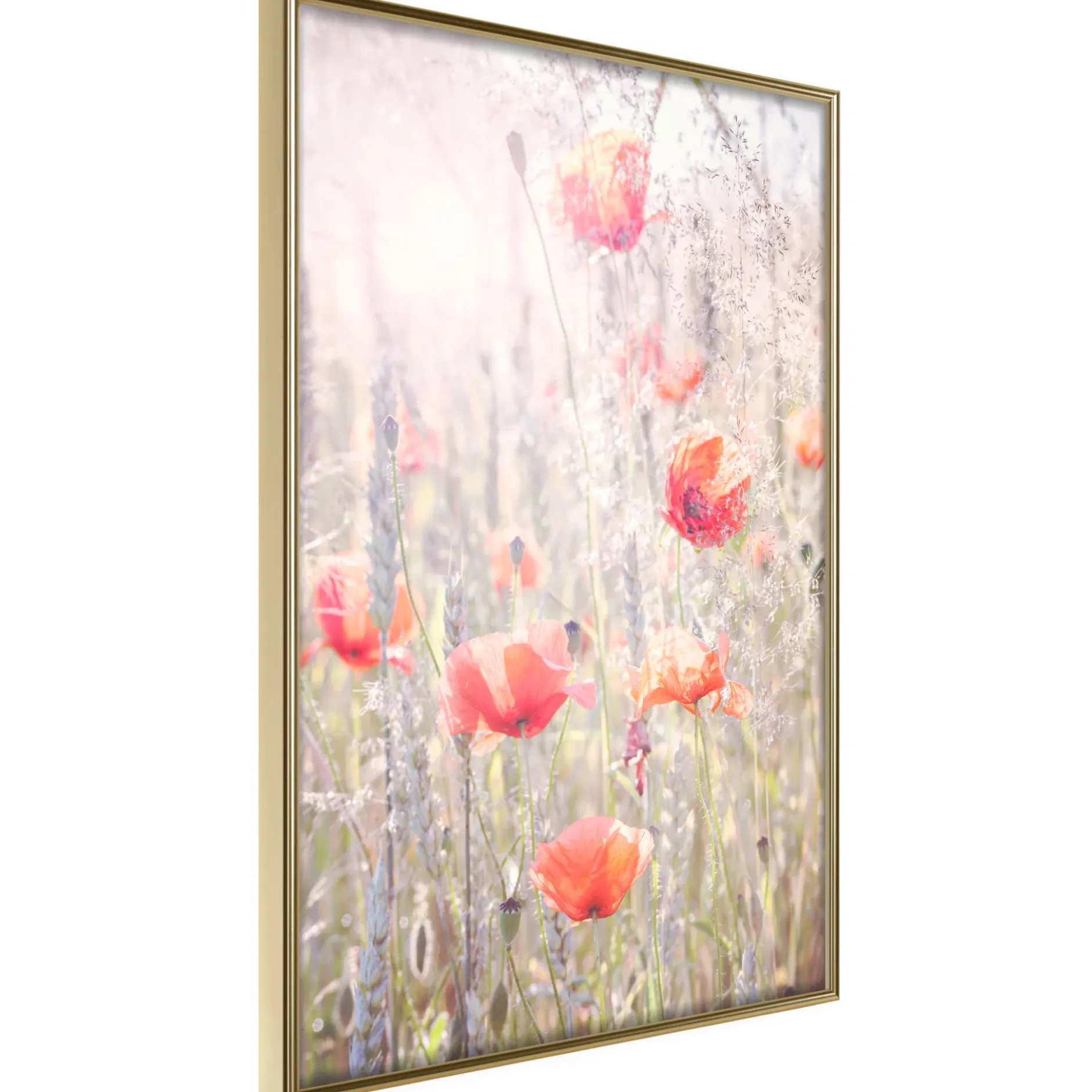 Poster 'Poppies'