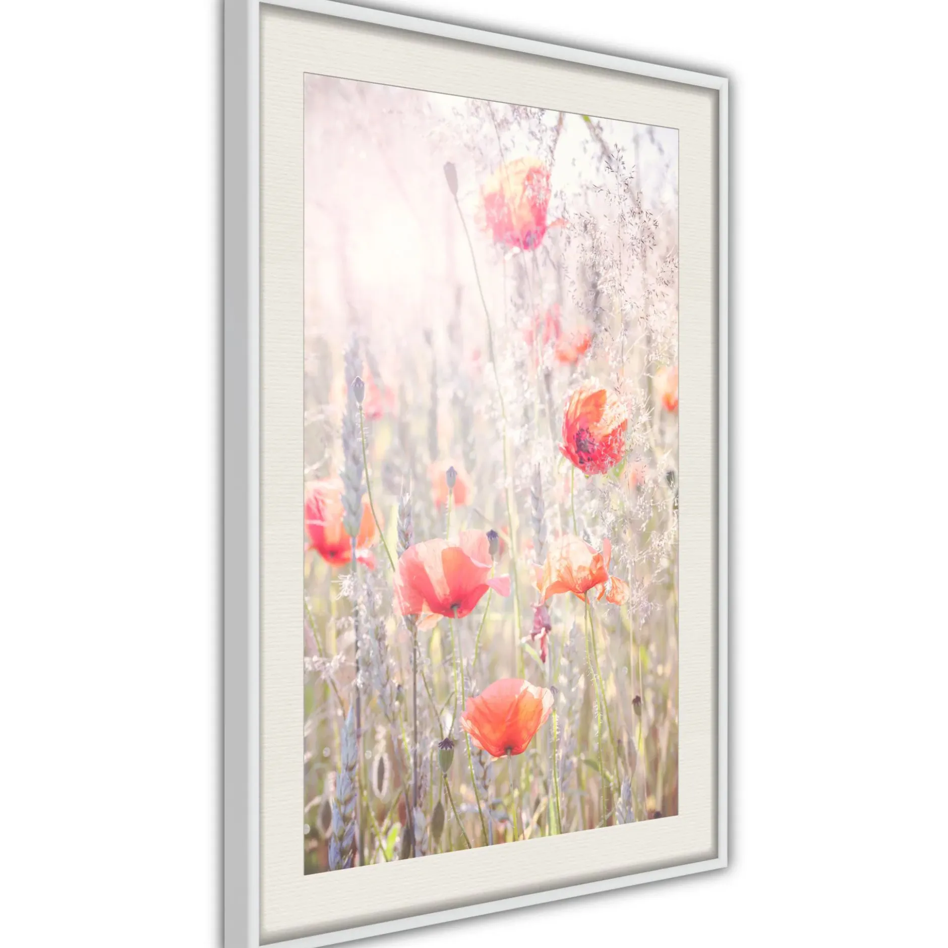 Poster 'Poppies'
