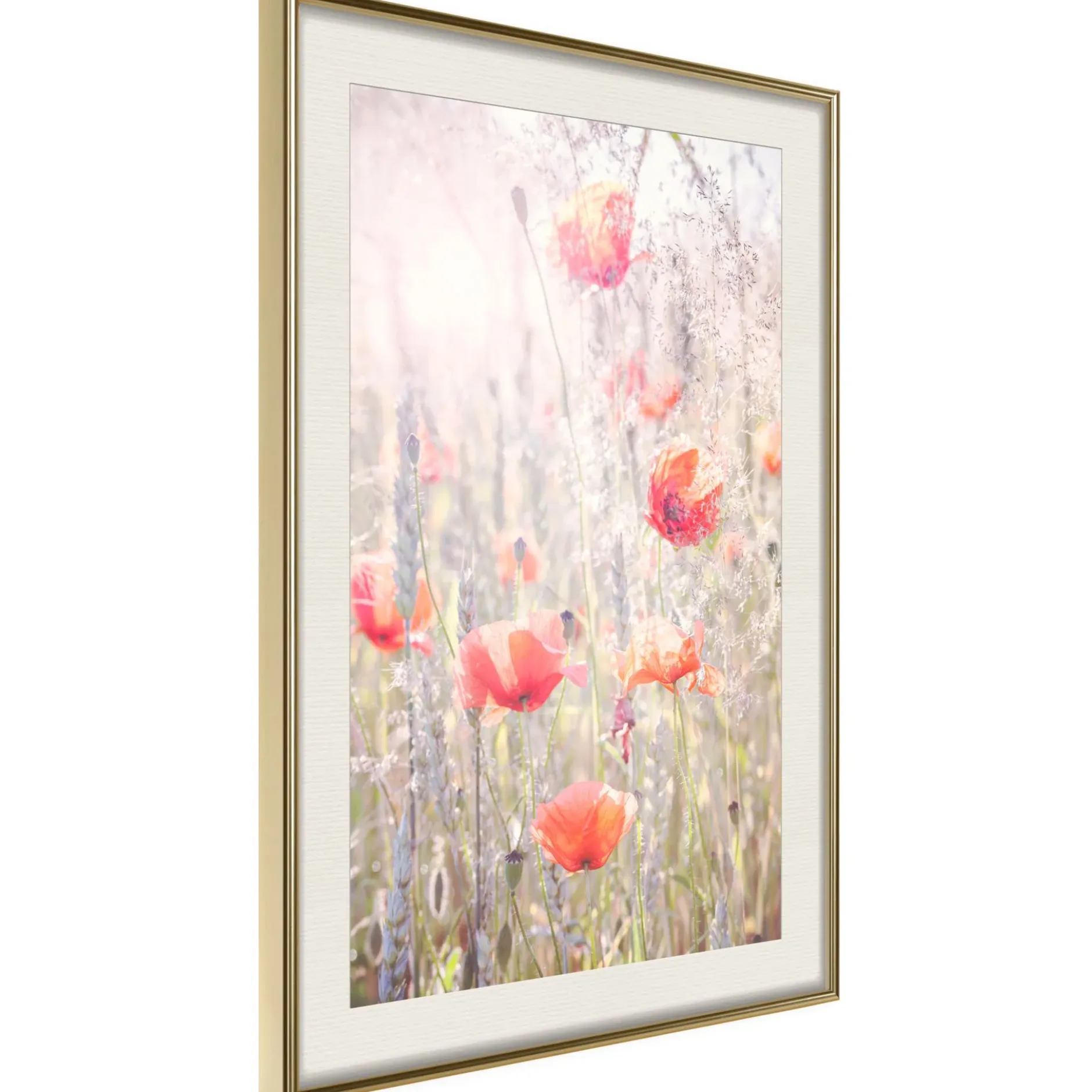 Poster 'Poppies'