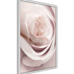 Poster 'Porcelain Rosae'