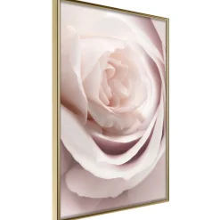 Poster 'Porcelain Rosae'