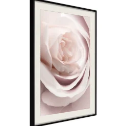 Poster 'Porcelain Rosae'