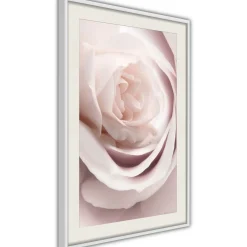 Poster 'Porcelain Rosae'