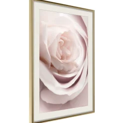 Poster 'Porcelain Rosae'