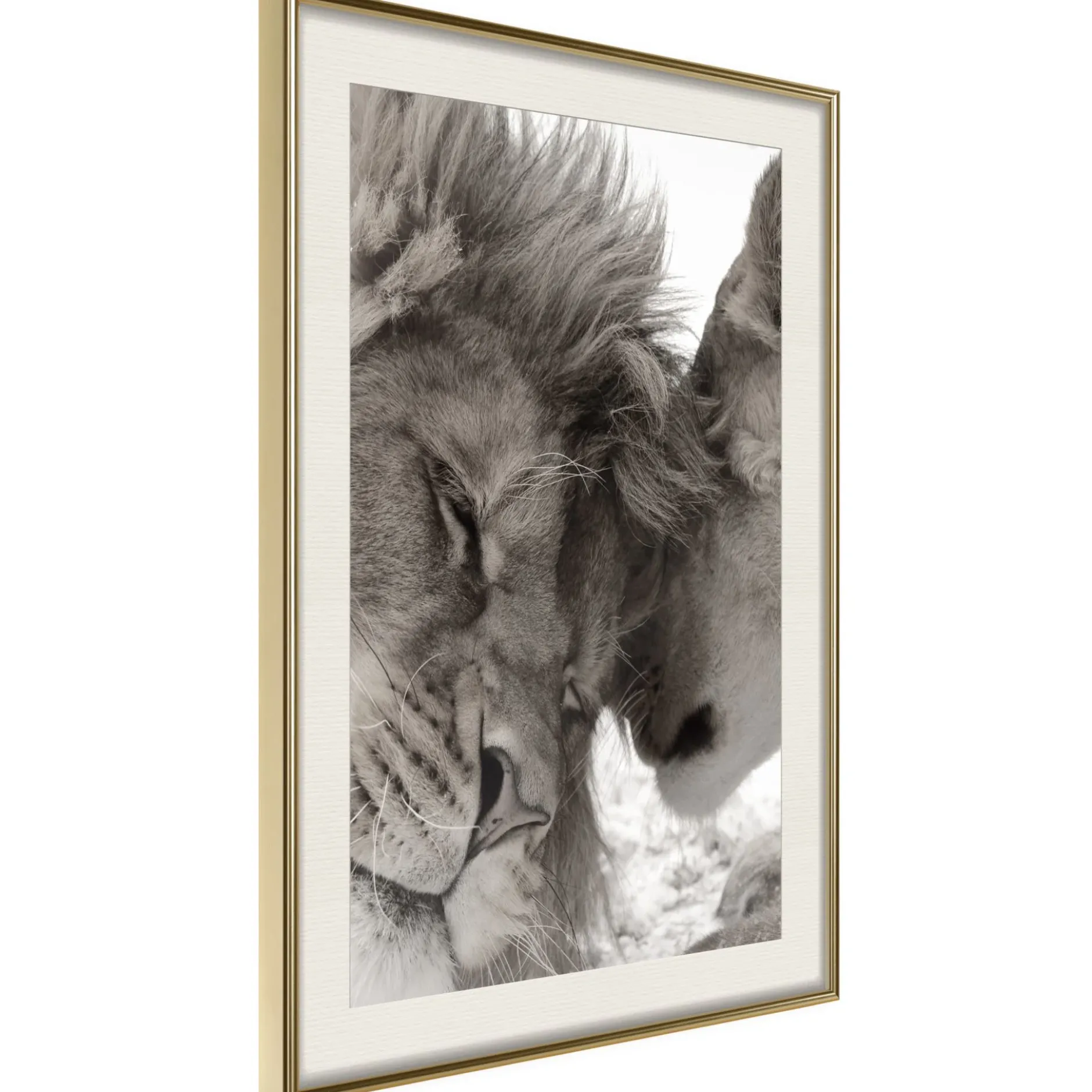 Poster 'Predatory Couple'