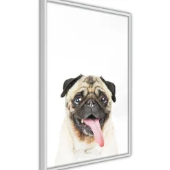 Poster 'Pug'