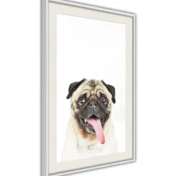 Poster 'Pug'