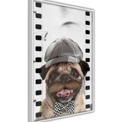 Poster 'Pug In Hat'