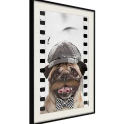 Poster 'Pug In Hat'