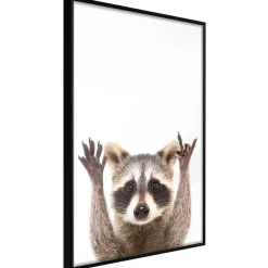 Poster 'Raccoon'