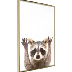 Poster 'Raccoon'