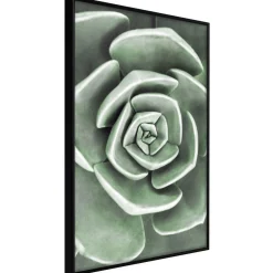Poster 'Robust Plant'