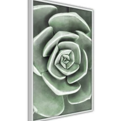 Poster 'Robust Plant'