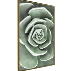 Poster 'Robust Plant'