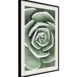 Poster 'Robust Plant'