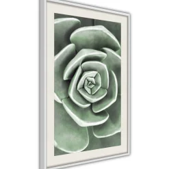 Poster 'Robust Plant'
