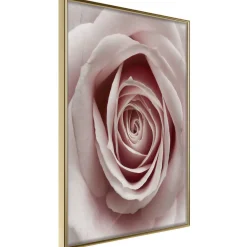 Poster 'Rosaebud'