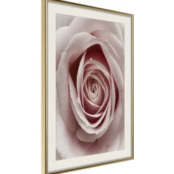 Poster 'Rosaebud'