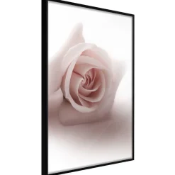 Poster 'Rosae Shadow'