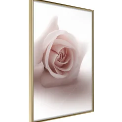 Poster 'Rosae Shadow'