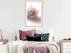 Poster 'Rosae Shadow'