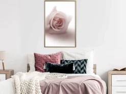 Poster 'Rosae Shadow'