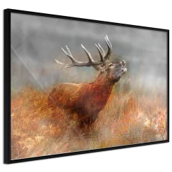 Poster 'Rut'