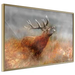 Poster 'Rut'