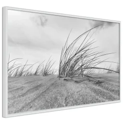 Poster 'Seaside Dunes'