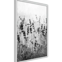 Poster 'Shadow of Meadow'