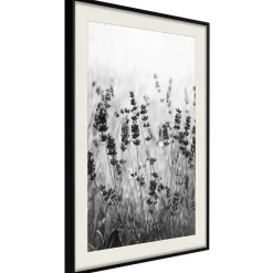 Poster 'Shadow of Meadow'