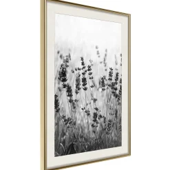 Poster 'Shadow of Meadow'