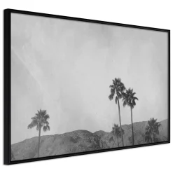Poster 'Sky of California'