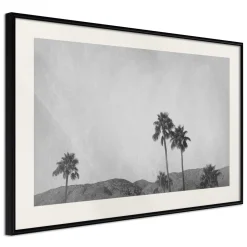 Poster 'Sky of California'
