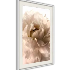Poster 'Soft Petals'