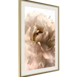 Poster 'Soft Petals'