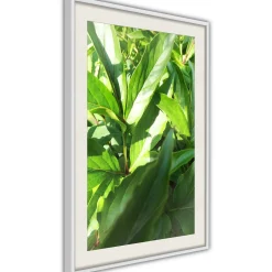 Poster 'Somewhere in the Garden'