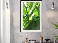 Poster 'Somewhere in the Garden'