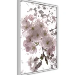 Poster 'Spring Visit'