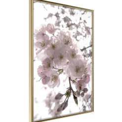 Poster 'Spring Visit'