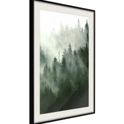 Poster 'Steaming Forest'