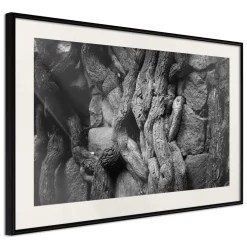 Poster 'Strong Roots'