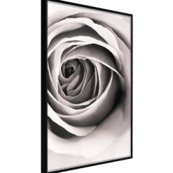 Poster 'Structure of Petals'