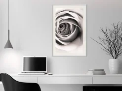 Poster 'Structure of Petals'