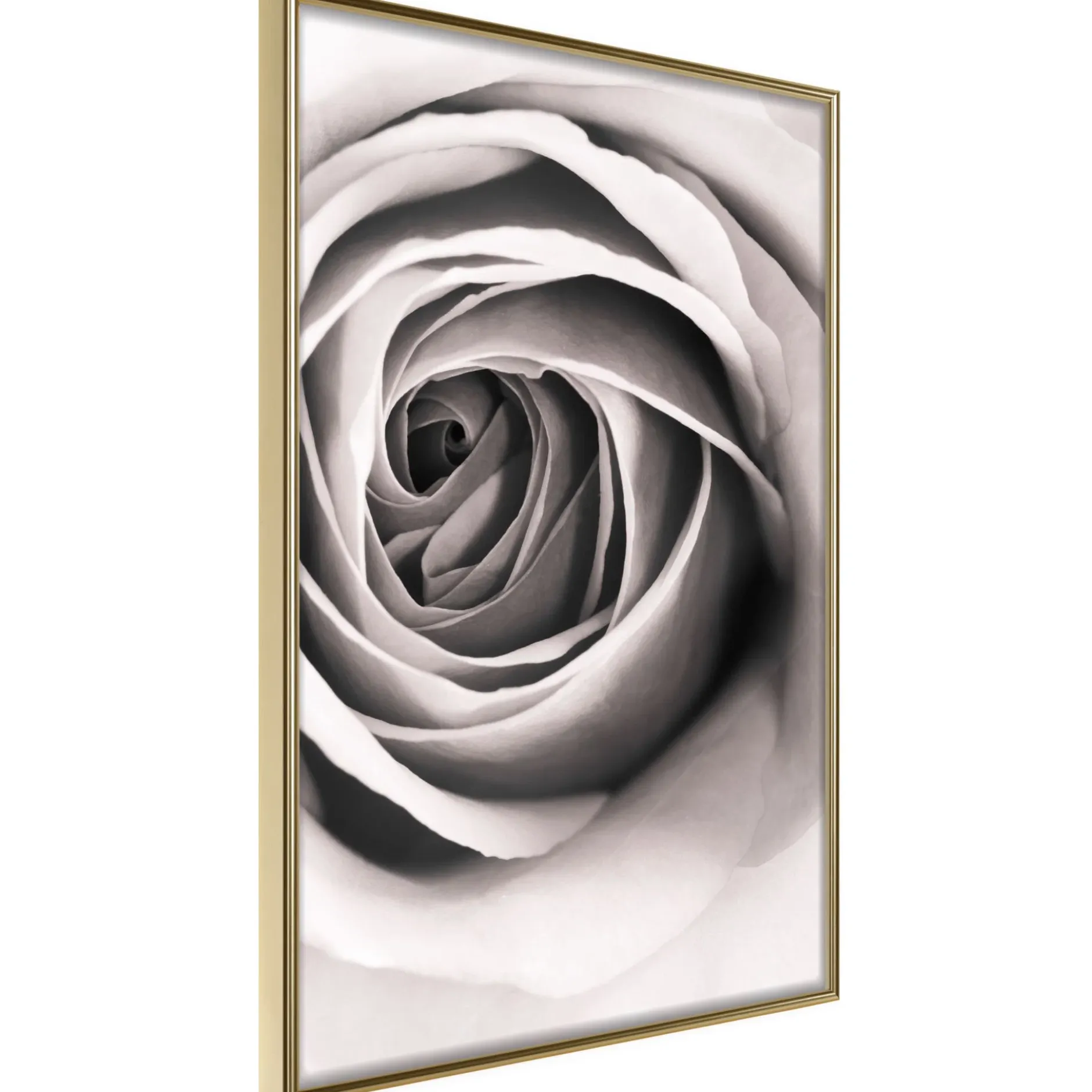 Poster 'Structure of Petals'