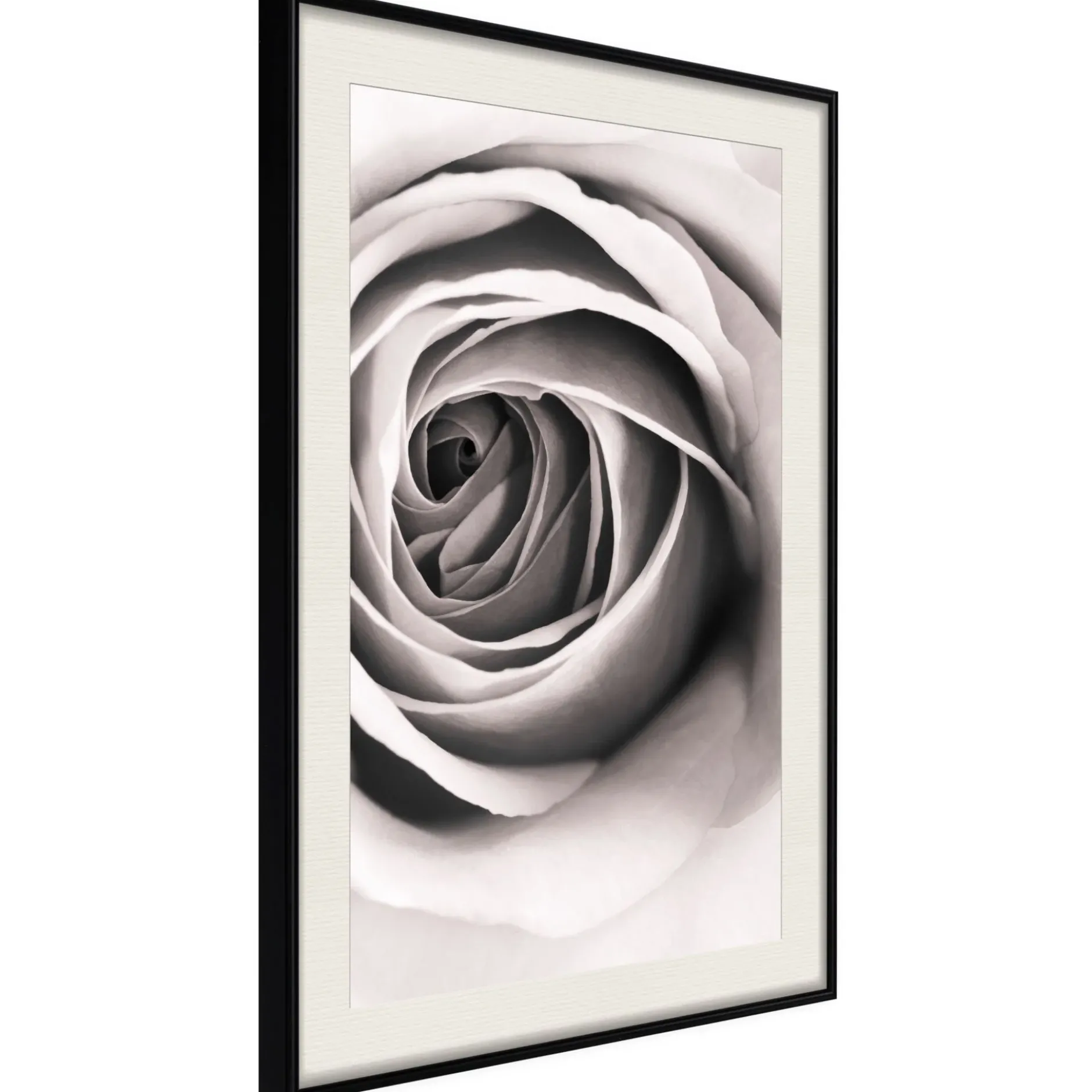 Poster 'Structure of Petals'